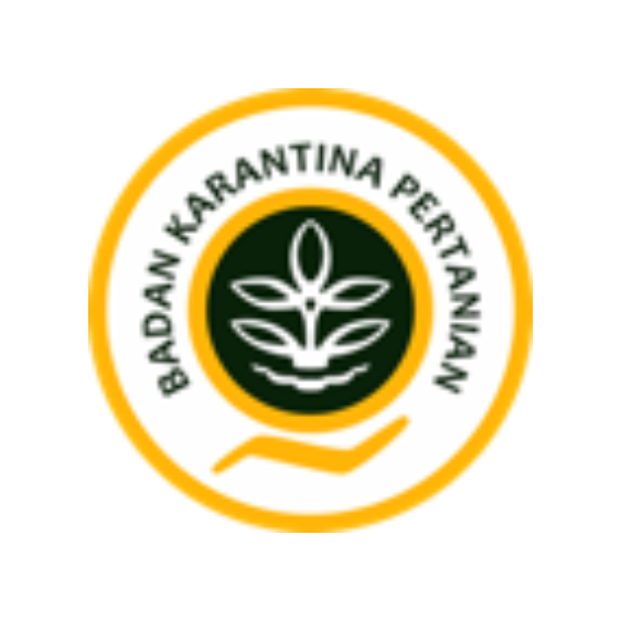 assets web - albiioest (3)