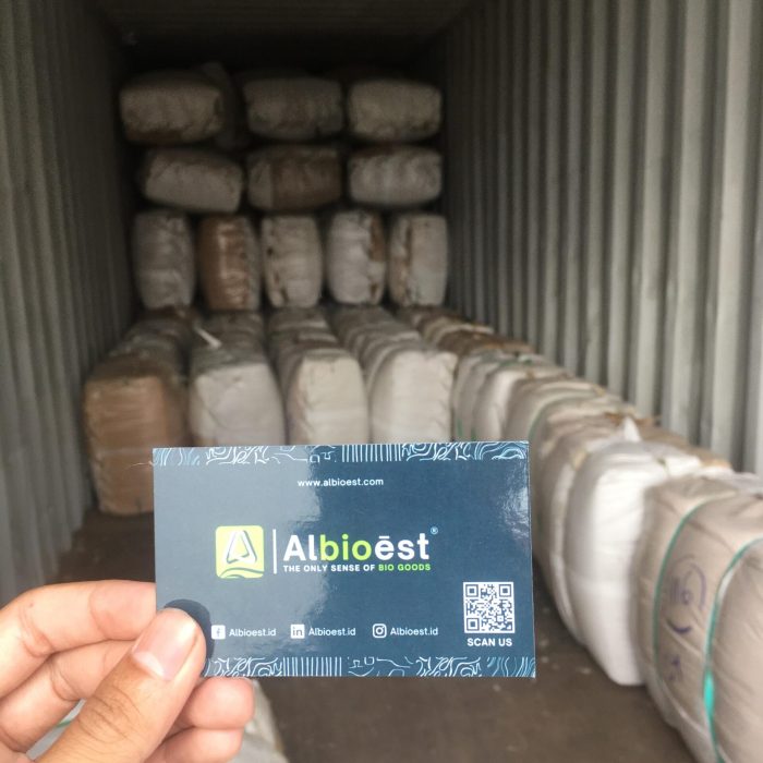 WhatsApp Image 2025-09-12 at 09.28.17